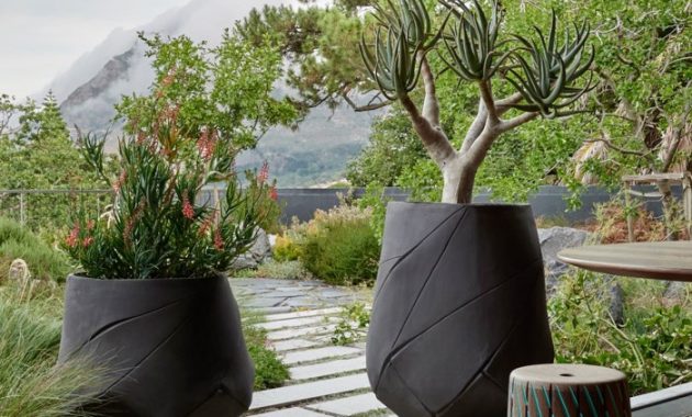 Large Exterior Plant Pots A Comprehensive Guide