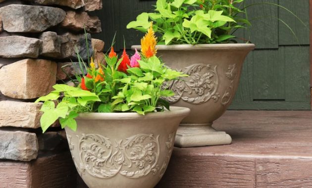 Pot Plant Pots Outdoor A Complete Guide