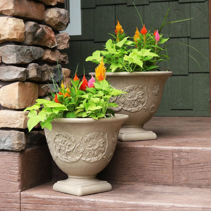 Pot plant pots outdoor