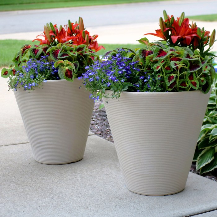 Pot plant pots outdoor