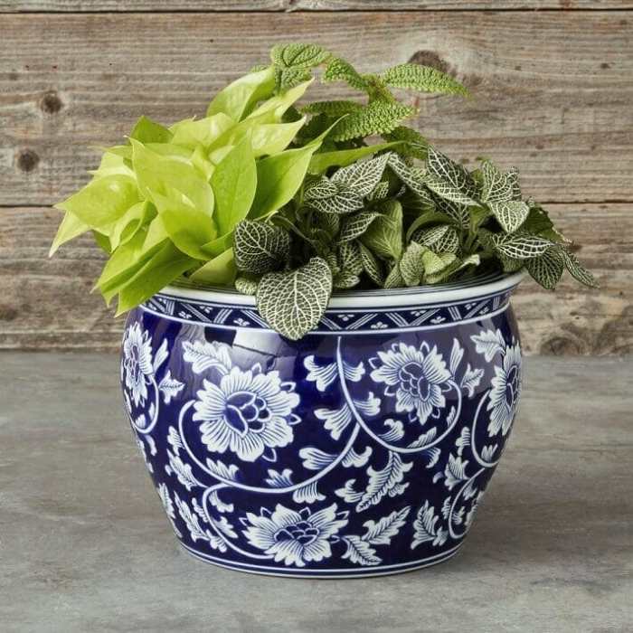 Blue and white plant pot