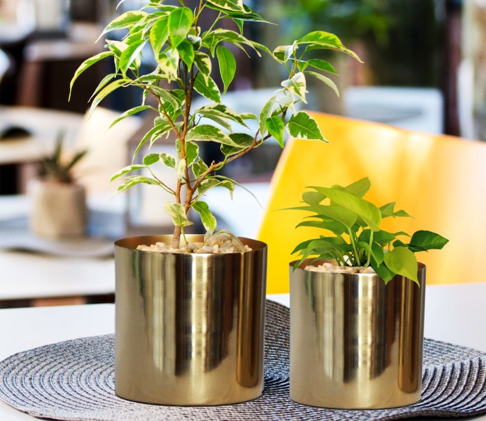 Gold metal plant pots