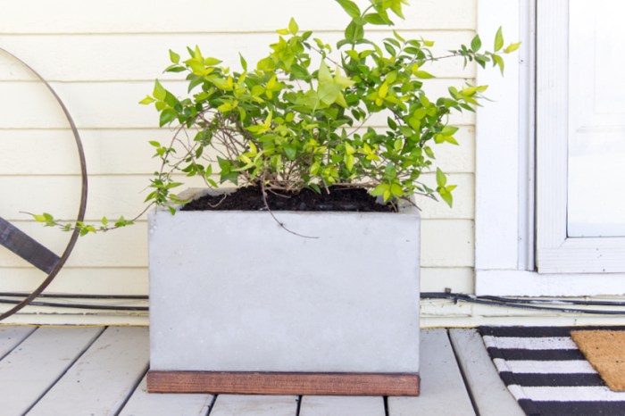 Diy concrete plant pots