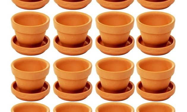 Plant Pot and Saucer A Complete Guide