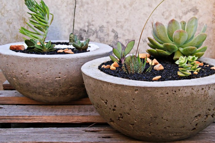 Diy concrete plant pots