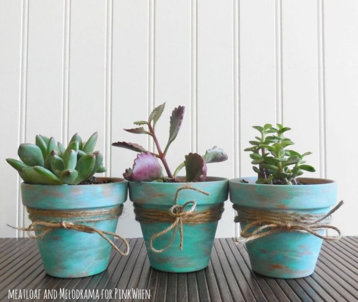 Paint a plant pot