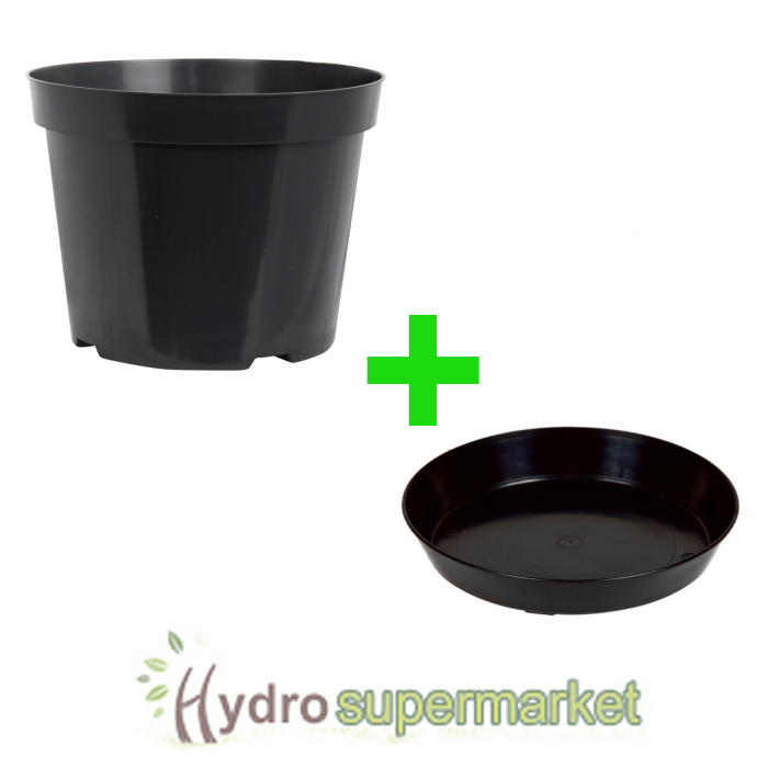 Plant pot and saucer